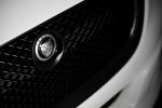 Jaguar XJ75 Platinum Concept 2010 года